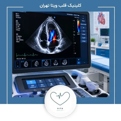 قلب قلب