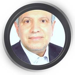 دکتر محمد هادی سعید مدقق
