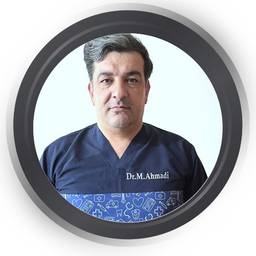 دکتر سید مسعودرضا احمدی