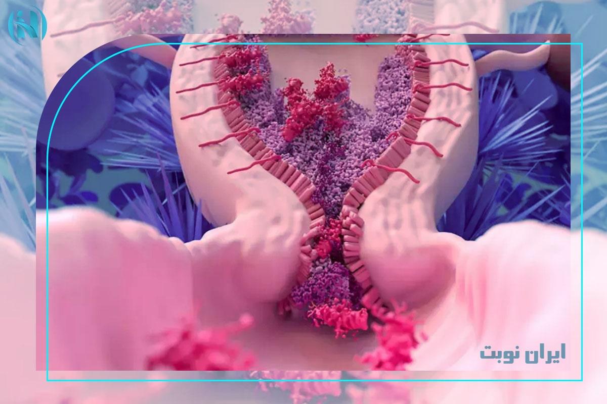 خونریزی غیرمعمول رحم بعد از پریود؛ چه کاری باید انجام دهید؟