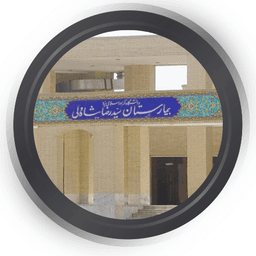 بیمارستان سید رضا شاه ولی یزد