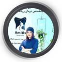 دکتر شقایق پرویزی
