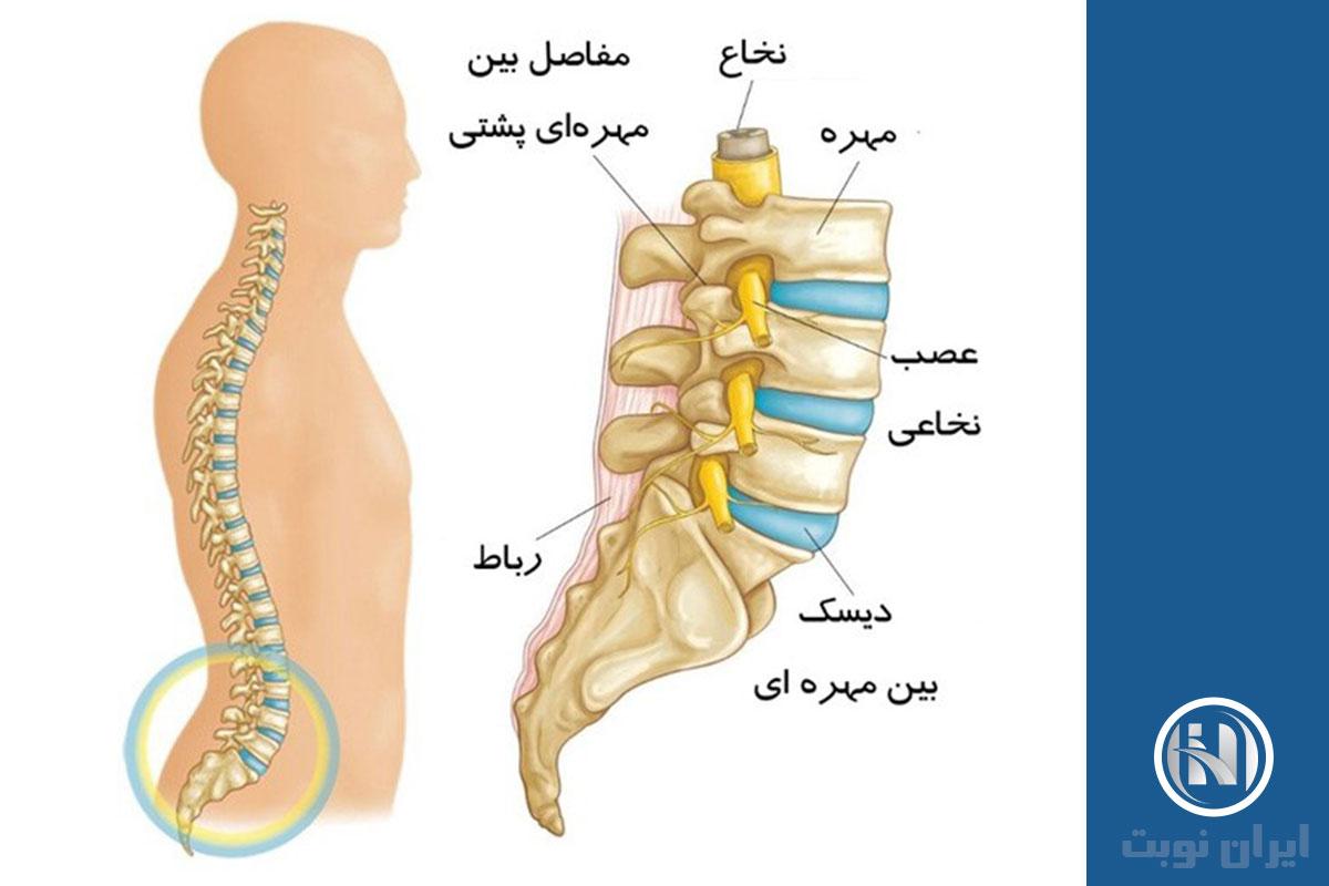 ساختار کمر ساختار کمر