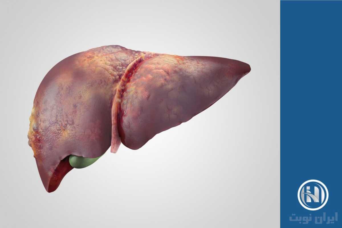 وظایف liver وظایف liver