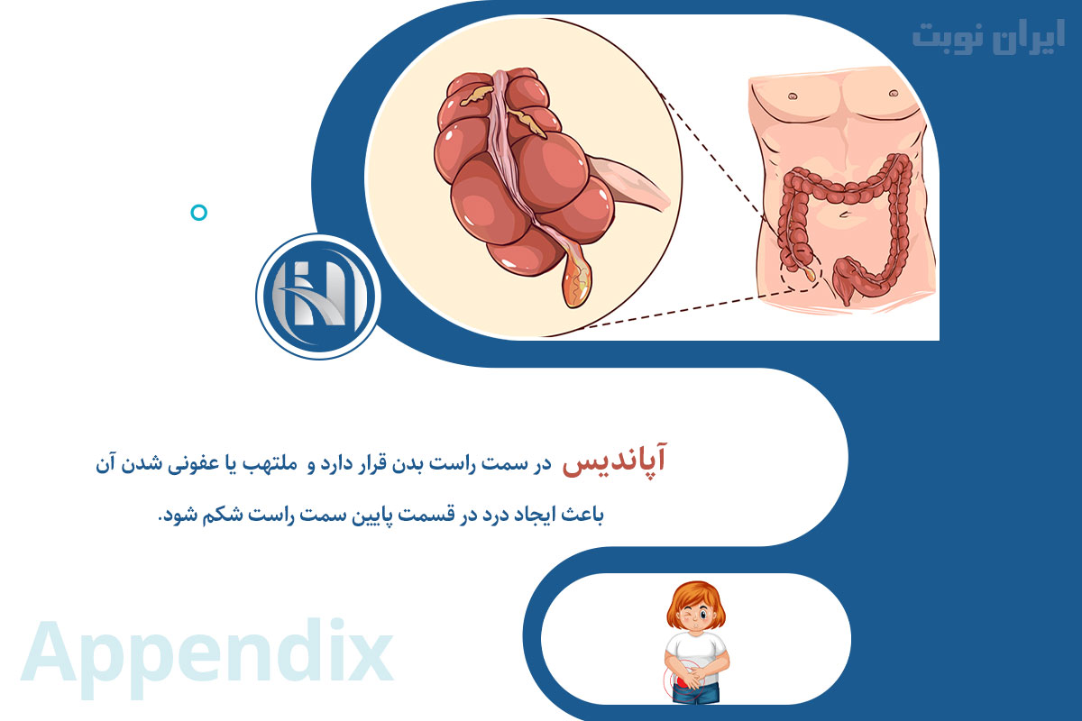 آناتومی