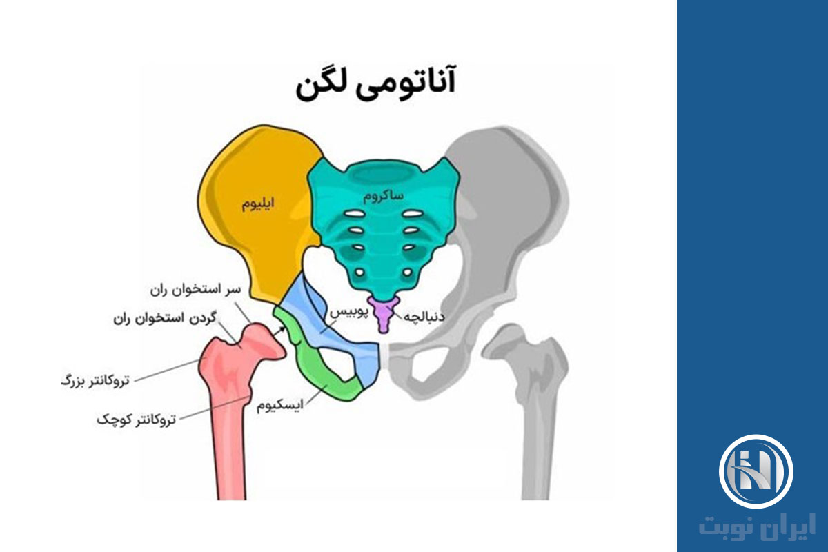 چرا شکستگی لگن کشنده است؟