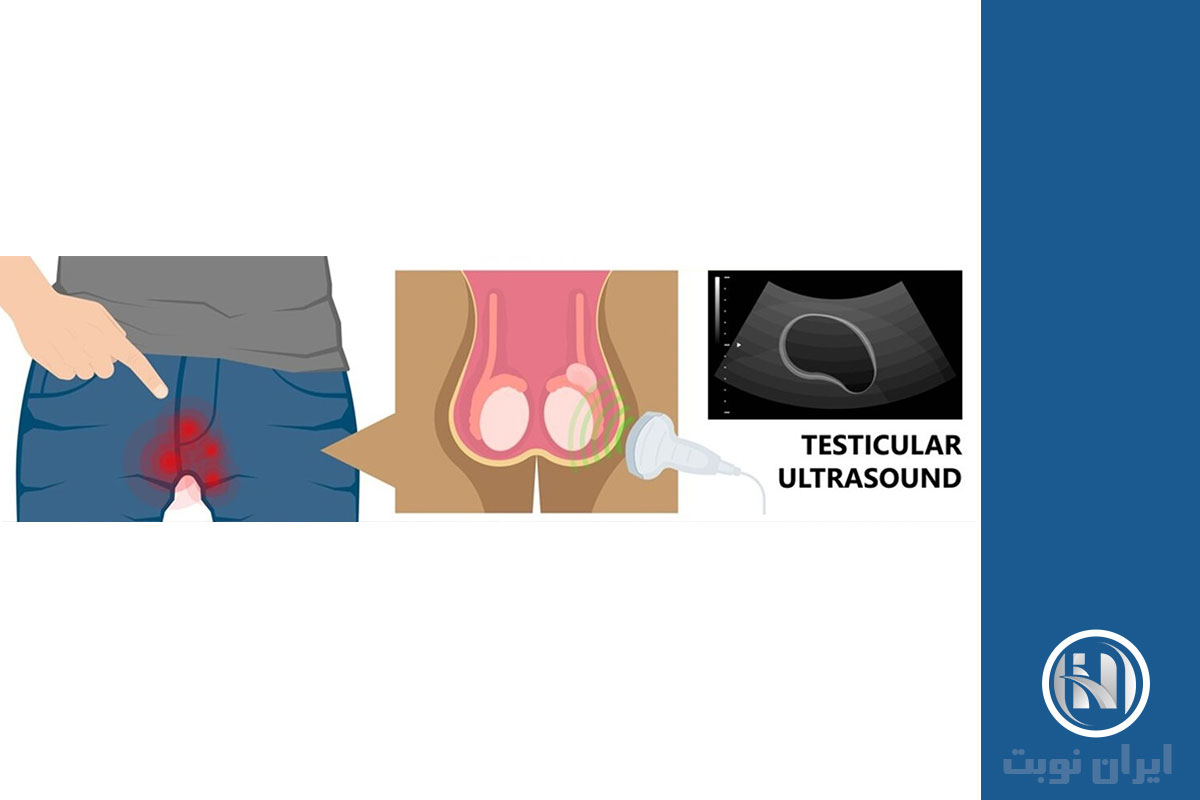 حین سونوگرافی بیضه چه اتفاقی می افتد